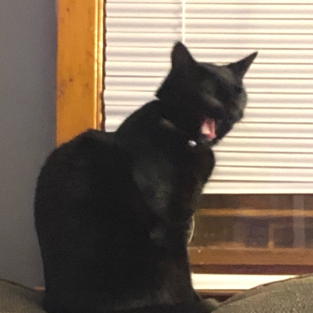 Meet your Posher, Jenn